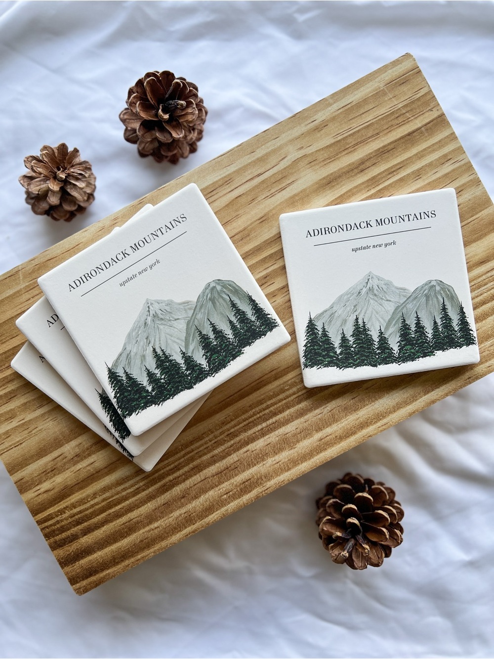 Adirondack Mountain Ceramic Coaster Set in White and Green